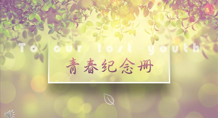 暖系風(fēng)格青春紀(jì)念相冊(cè)PPT模板