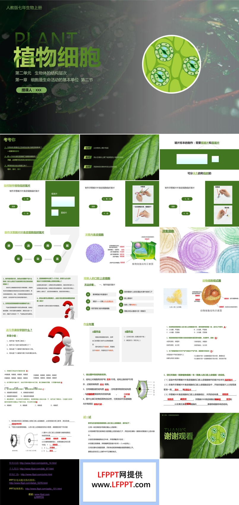 植物細(xì)胞ppt課件