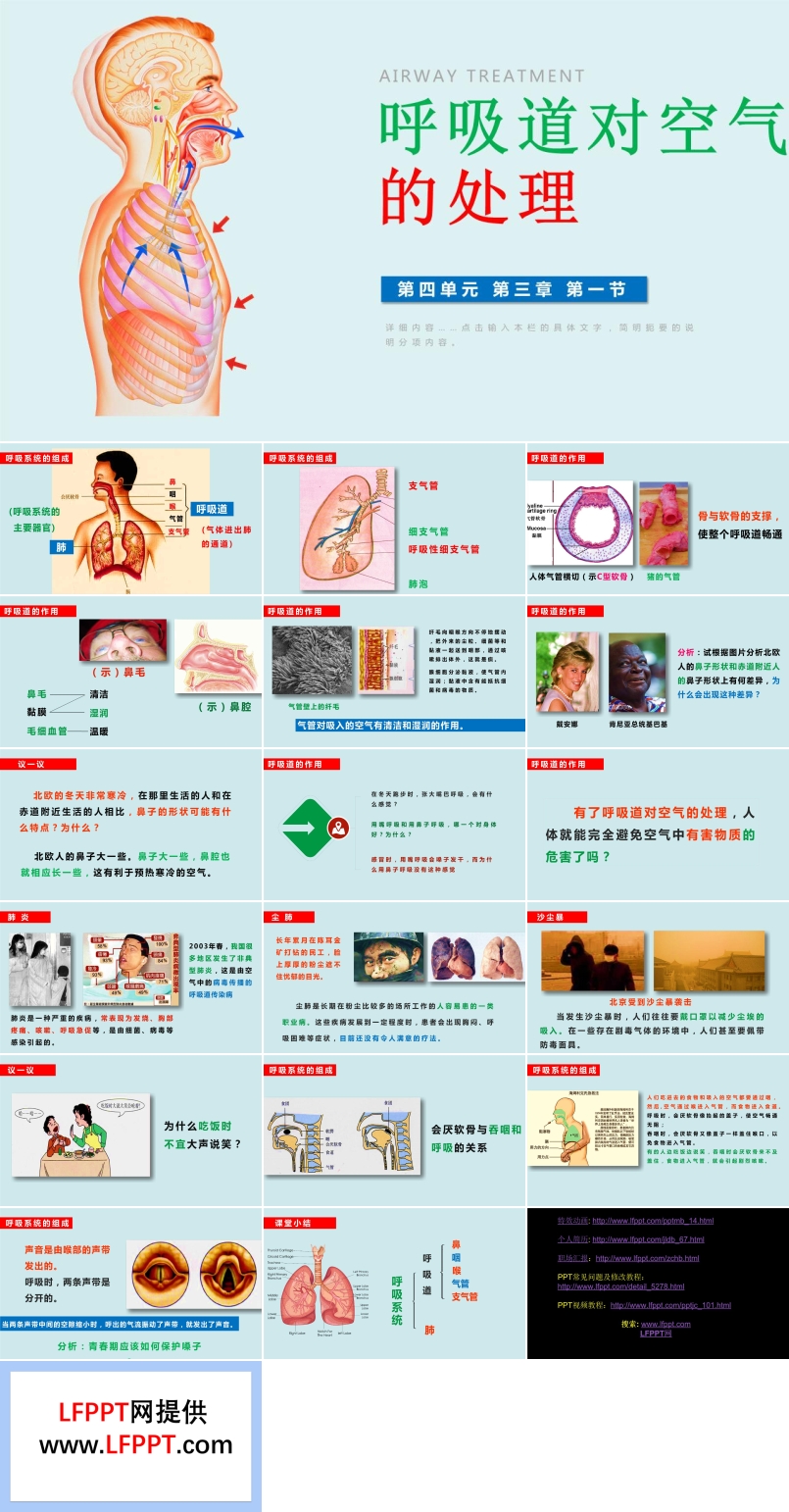 呼吸道對(duì)空氣的處理ppt課件