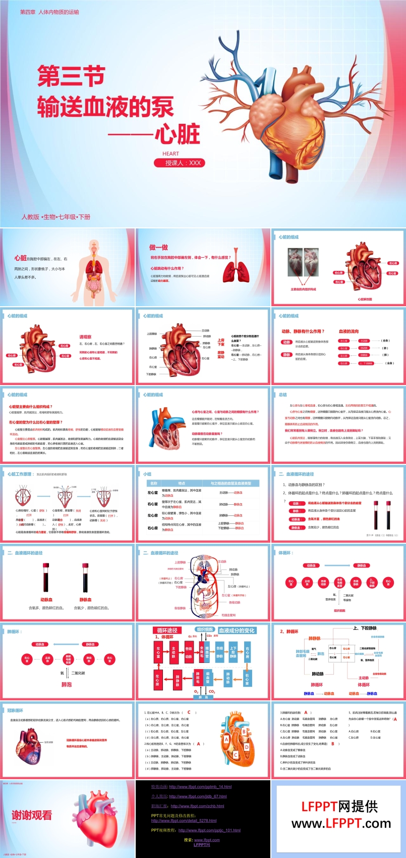 輸送血液的泵心臟說(shuō)課PPT
