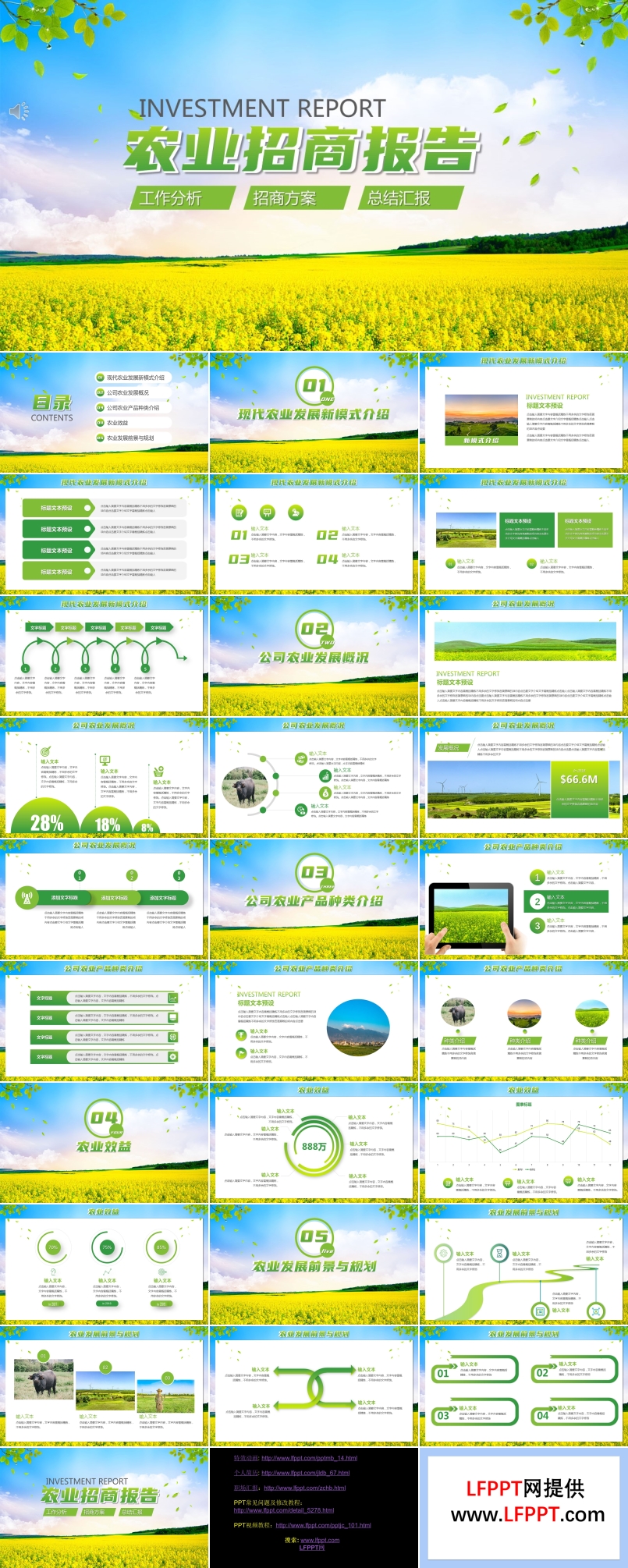 農(nóng)業(yè)招商報告PPT