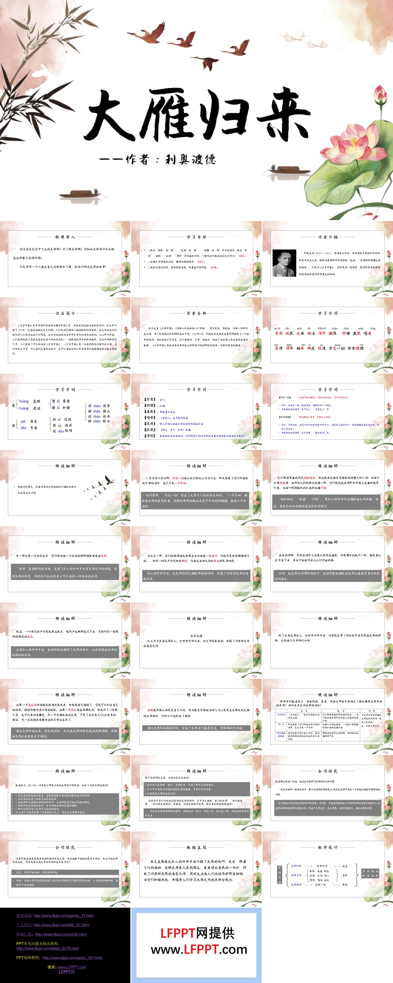 《大雁歸來》教育教學課件PPT