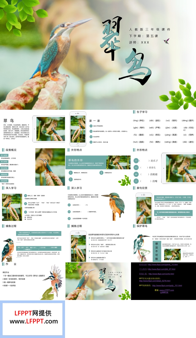 《翠鳥(niǎo)》教育教學(xué)課件PPT
