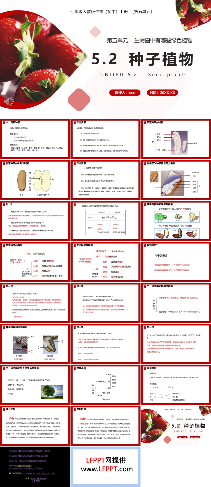 部編版七年級(jí)生物上冊(cè)種子植物課件PPT