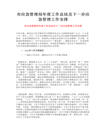 市應急管理局年度工作總結及下一步應急管理工作安排