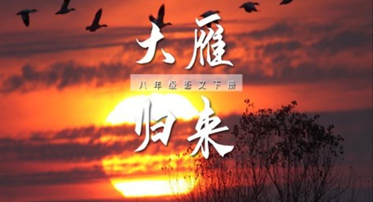 初中語文八年級下冊《大雁歸來》教育教學課件