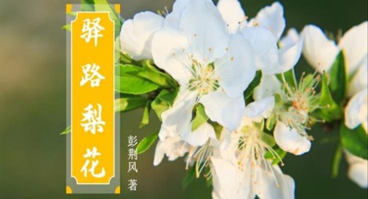 初中語文七年級《驛路梨花》教育教學(xué)課件PPT