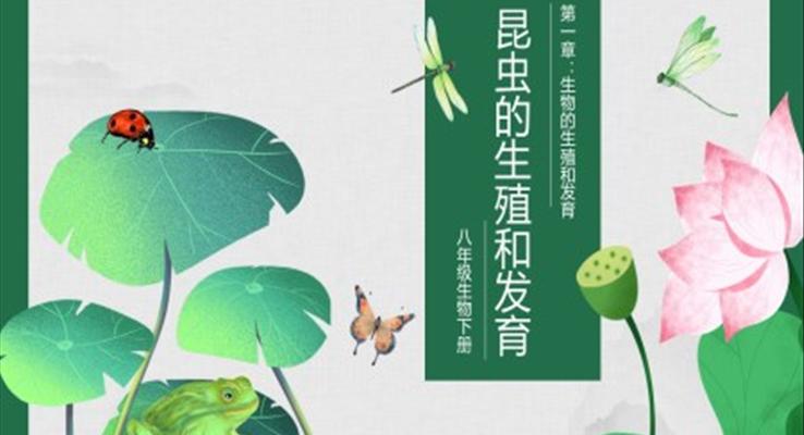 初中生物人教版八年級下冊《昆蟲的生殖和發(fā)育生物》教育教學(xué)課件PPT