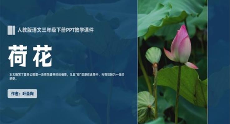 人教版語文三年級下冊葉圣陶《荷花》PPT教學(xué)課件