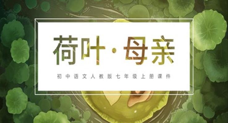 初中語文人教版七年級上冊《荷葉母親》PPT課件