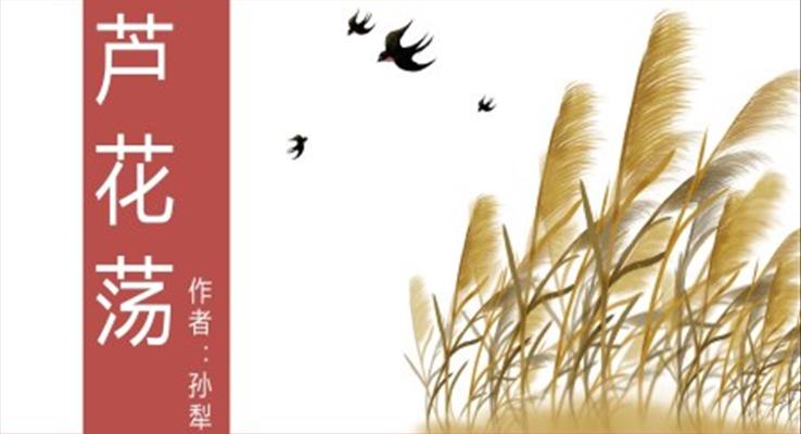 初中語(yǔ)文人教版八年級(jí)《蘆花蕩》教育教學(xué)課件PPT模板