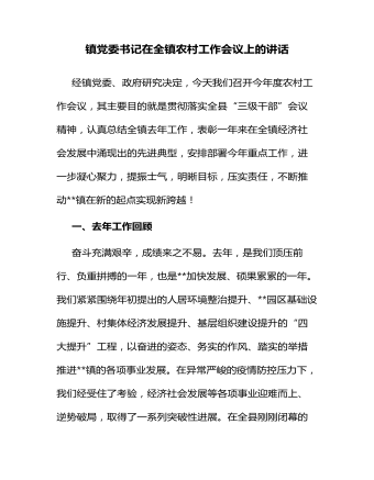 鎮(zhèn)黨委書記在全鎮(zhèn)農村工作會議上的講話 