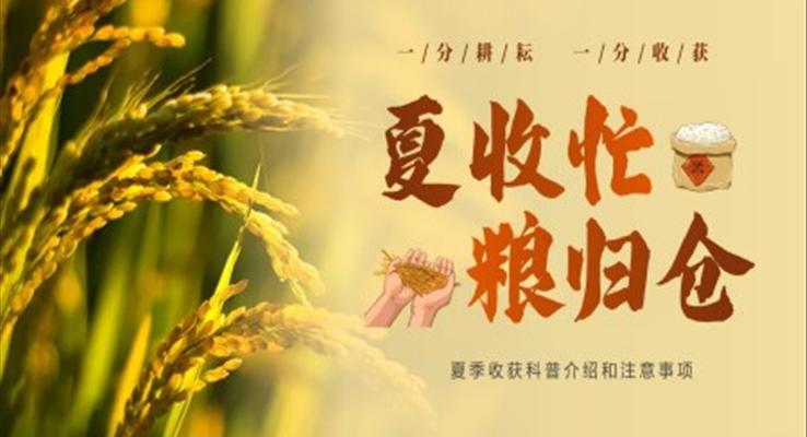 夏收工作服務(wù)保障總結(jié)匯報PPT模板夏收忙糧歸倉