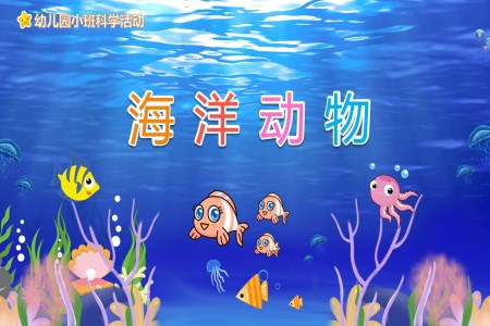 海洋動(dòng)物PPT課件幼兒教育讀物繪本故事